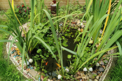 Fish Ponds
